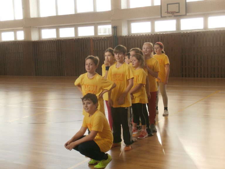 Krajské kolo vo vybíjanej