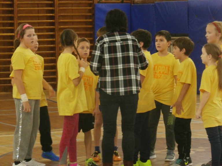 Vybíjaná – okresné kolo