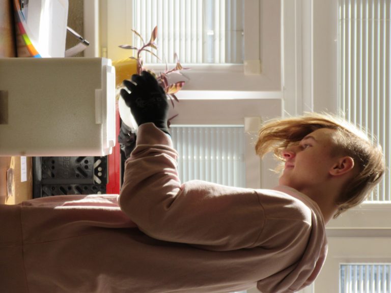 Vzdorujeme extrémizmu – projekt