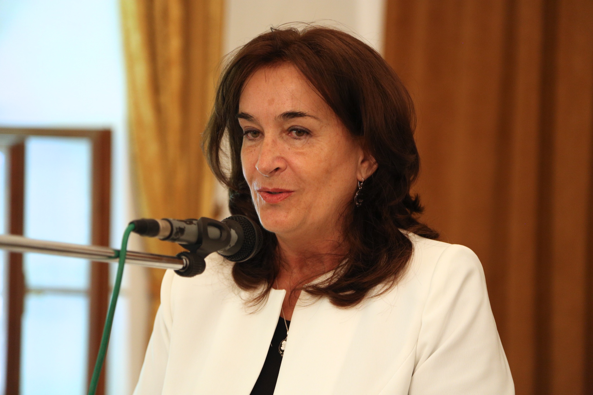 Hodžov novinový článok 2014 – výsledky