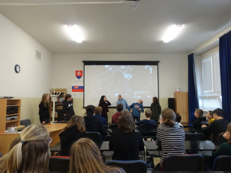 Návšteva z Dánska