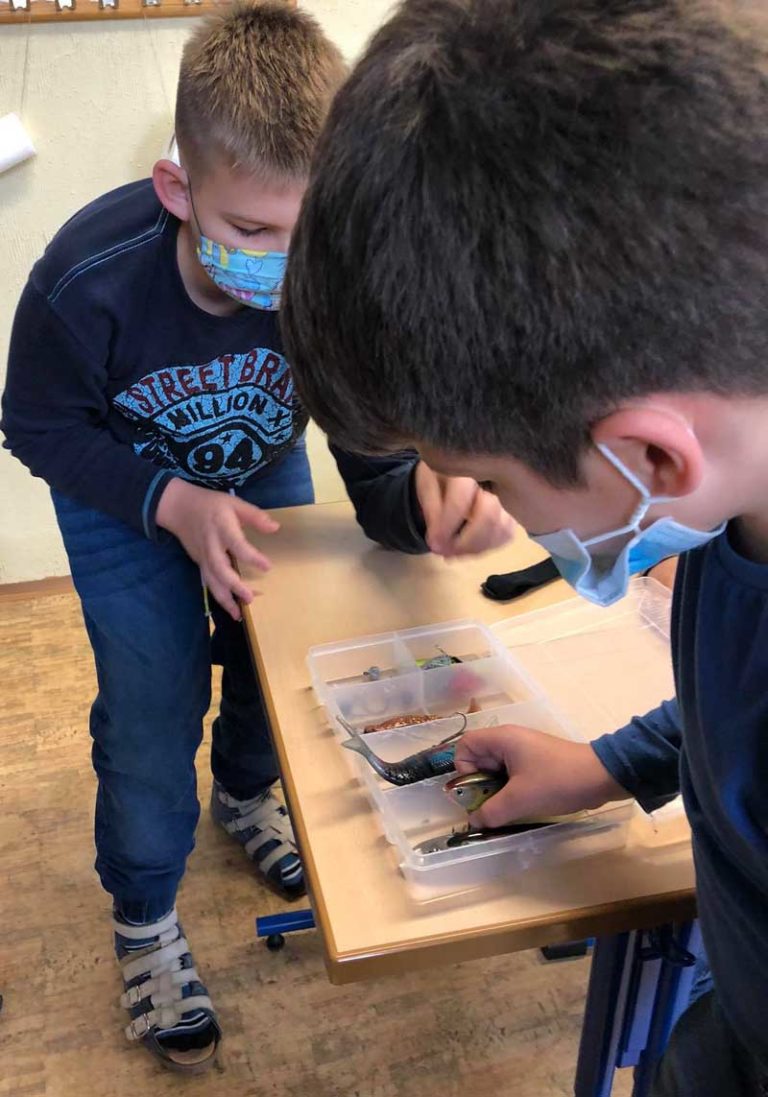 Ryby, rybky, rybičky