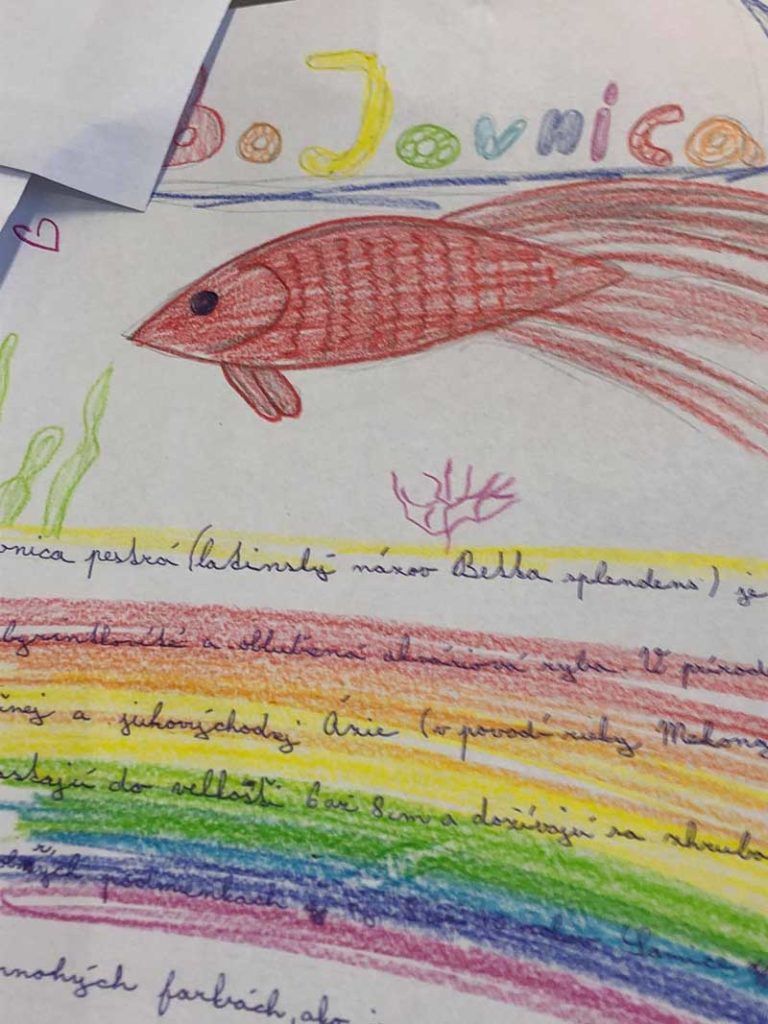 Ryby, rybky, rybičky