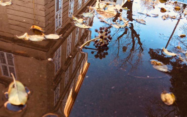 Fotografický workshop