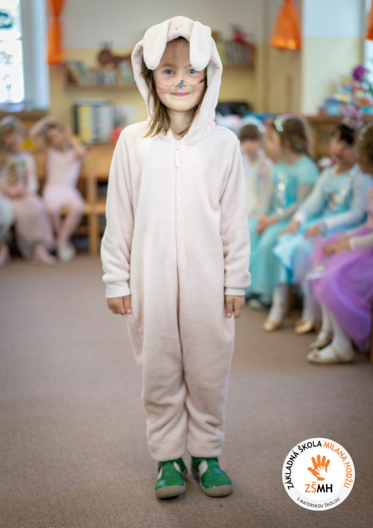 Karneval v materskej škole