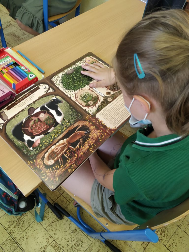 Knižný poklad v III.B