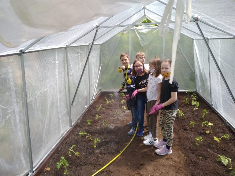 Školský fóliovník – projekt Deti pre Bratislavu