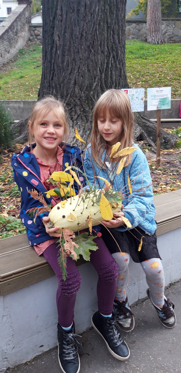 Jesenné plody v ŠKD