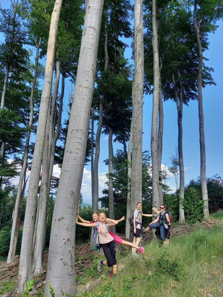 S turistickým krúžkom z Limbachu cez vrch Somár do Svätého Jura