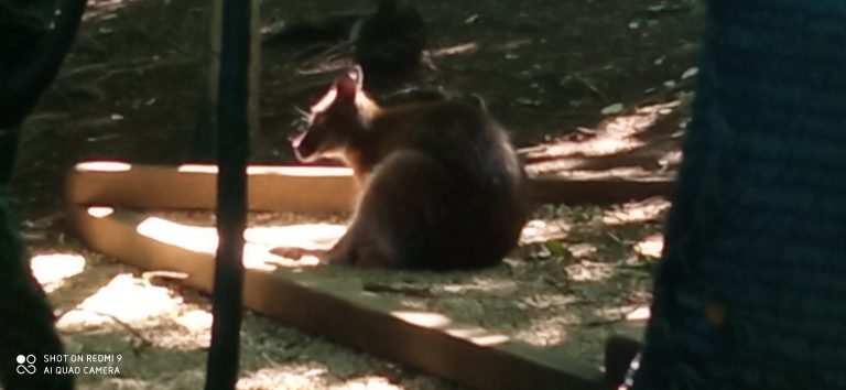 MiniFARMA Lubina – prváci na výlete