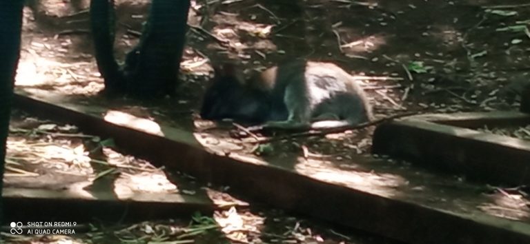 MiniFARMA Lubina – prváci na výlete