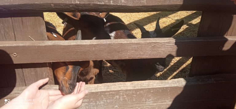 MiniFARMA Lubina – prváci na výlete