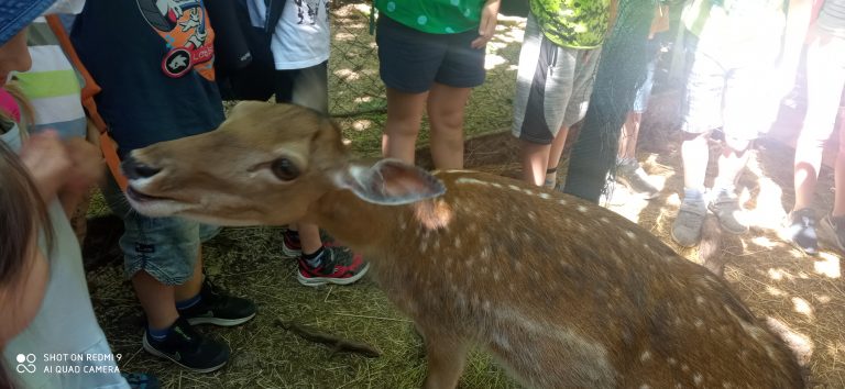 MiniFARMA Lubina – prváci na výlete