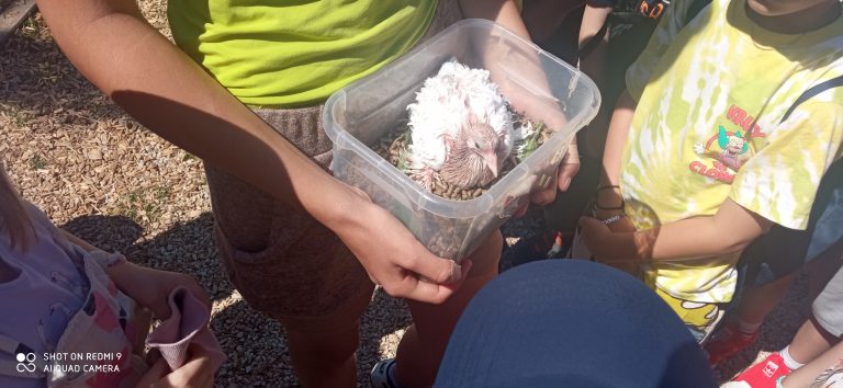 MiniFARMA Lubina – prváci na výlete