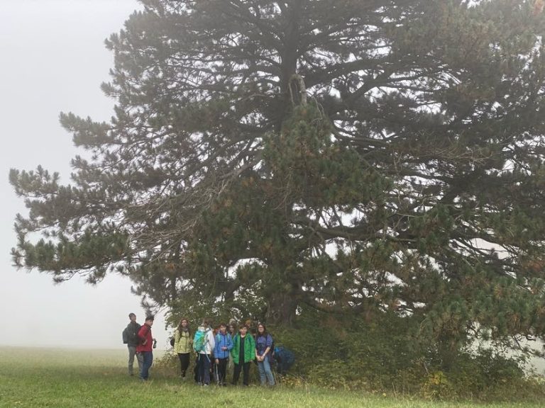 S turistickým krúžkom Smolenickým krasom do jaskyne Driny a na Smolenický zámok