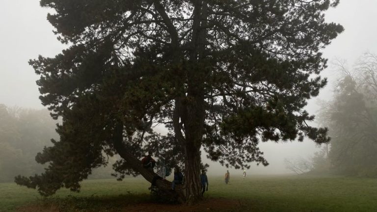 S turistickým krúžkom Smolenickým krasom do jaskyne Driny a na Smolenický zámok