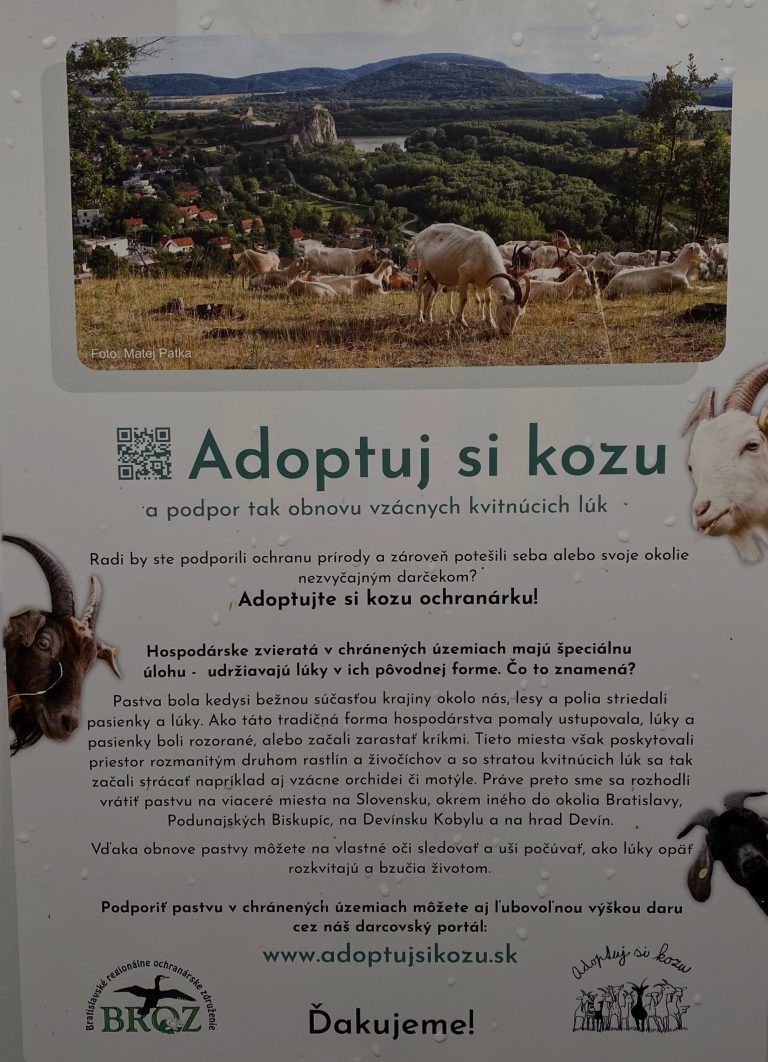 S turistickým krúžkom z Devína do Schloss Hofu alebo Vianoce na zámku