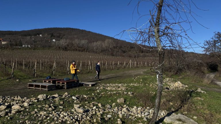 S turistickým krúžkom bratislavskými lesmi