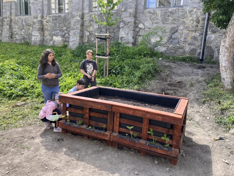 Jahodový záhon na školskom dvore