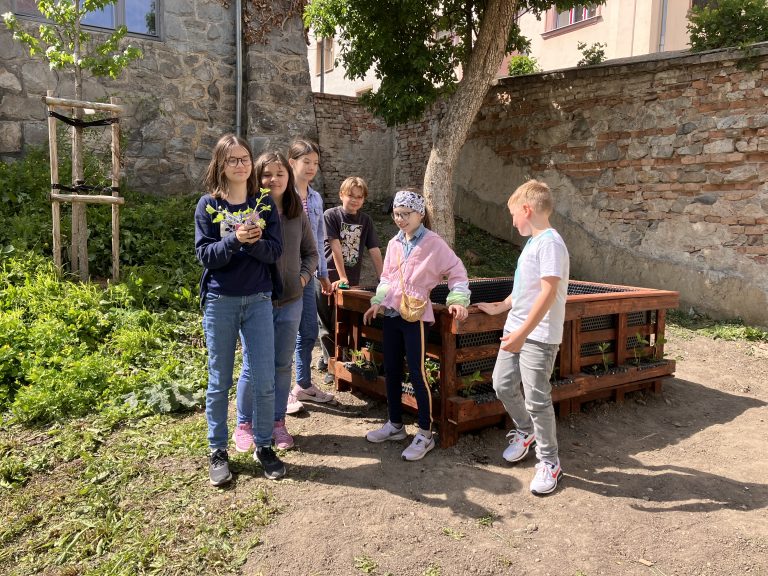 Jahodový záhon na školskom dvore