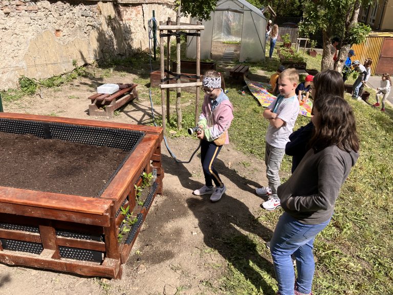 Jahodový záhon na školskom dvore