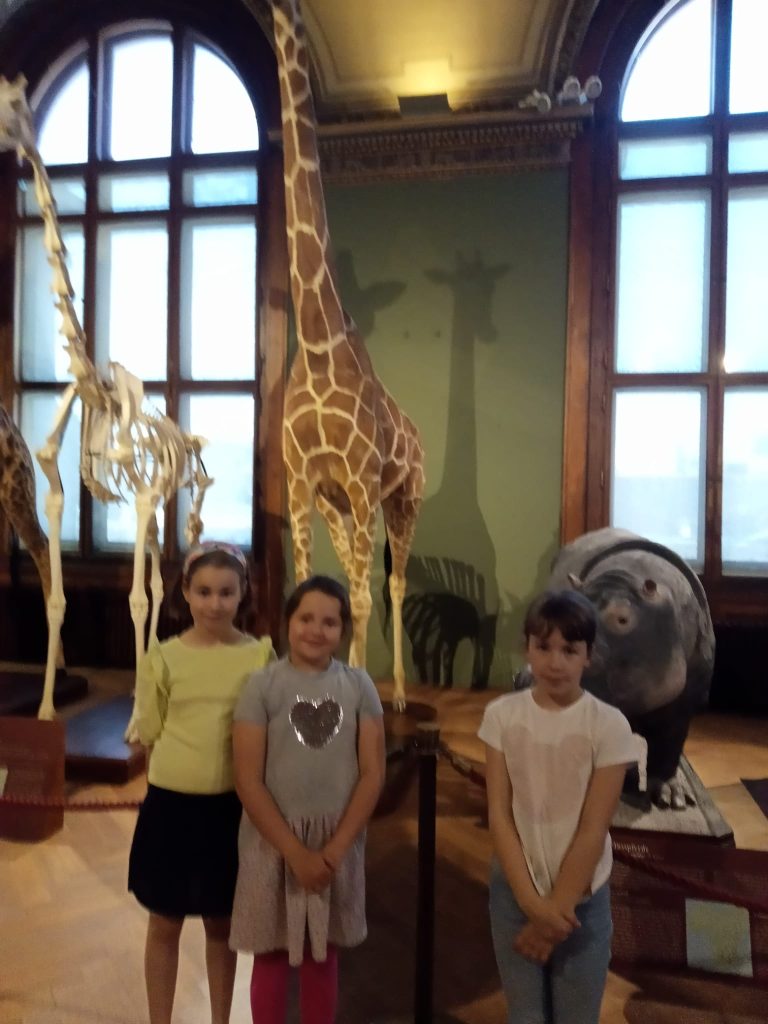 Prírodovedné múzeum Viedeň – exkurzia