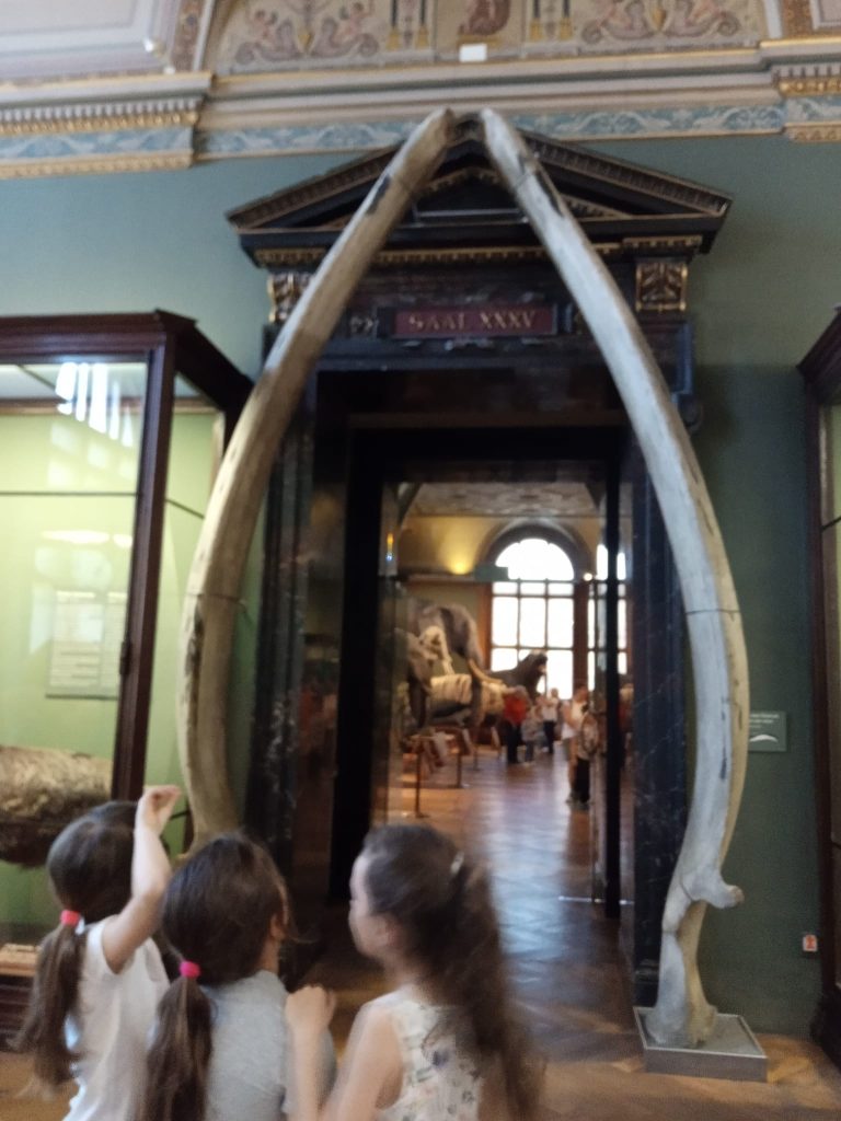 Prírodovedné múzeum Viedeň – exkurzia