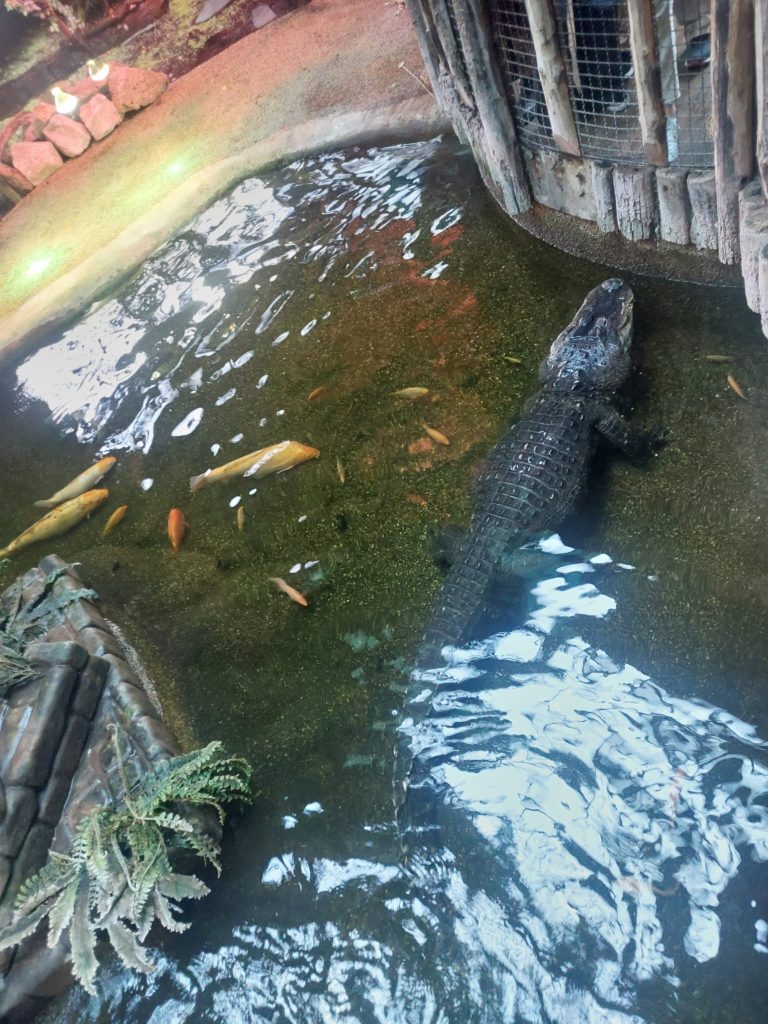 Koncoročný výlet deviatakov