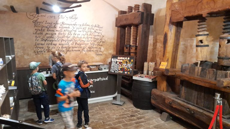 Výlet v Malokarpatskom múzeu v Pezinku
