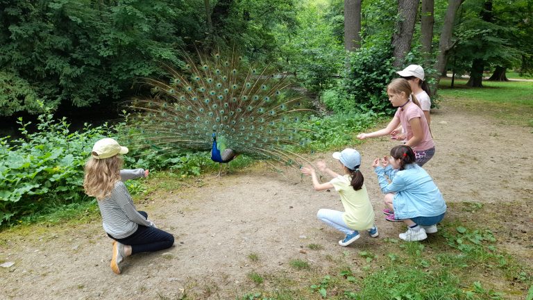Výlet v Malokarpatskom múzeu v Pezinku
