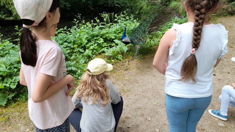 Výlet v Malokarpatskom múzeu v Pezinku