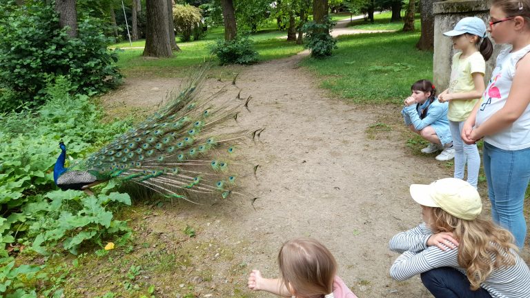 Výlet v Malokarpatskom múzeu v Pezinku