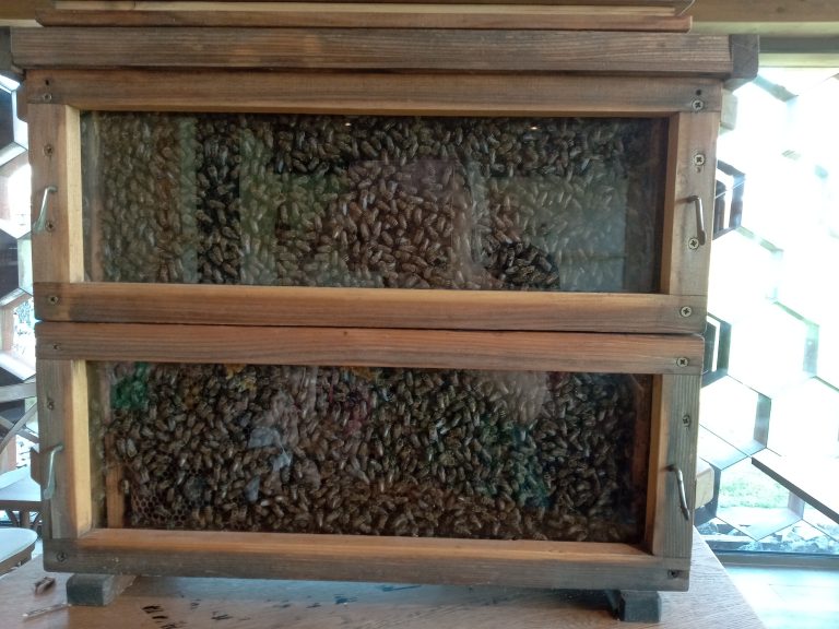 Výlet v Smoleniciach