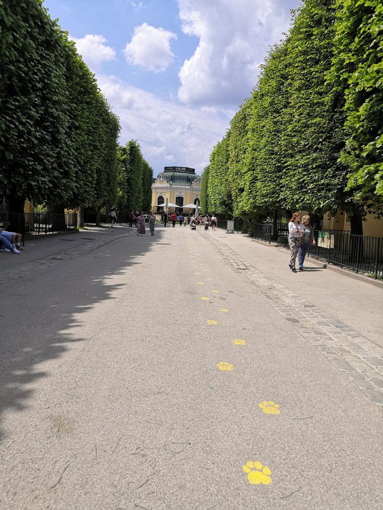 Koncoročný výlet ôsmakov – ZOO Schönbrunn