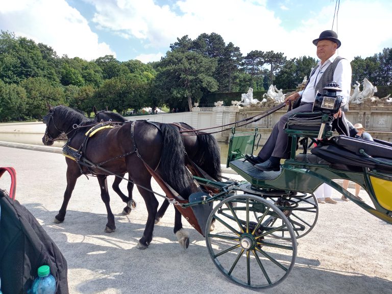 Koncoročný výlet ôsmakov – ZOO Schönbrunn