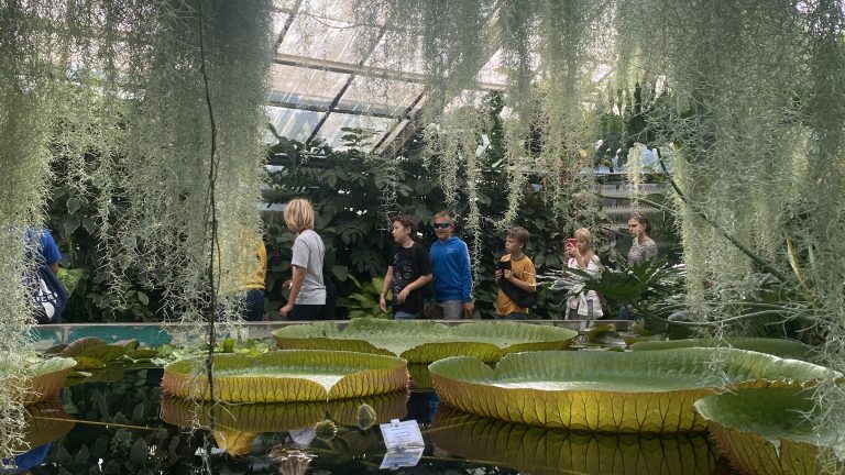 Zážitková hodina techniky v Botanickej záhrade UK