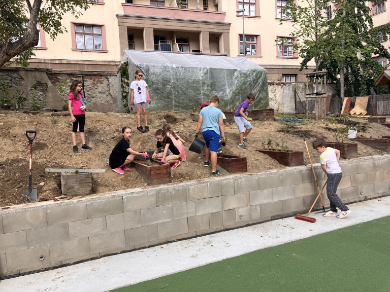 Ovocné kry na školskom dvore