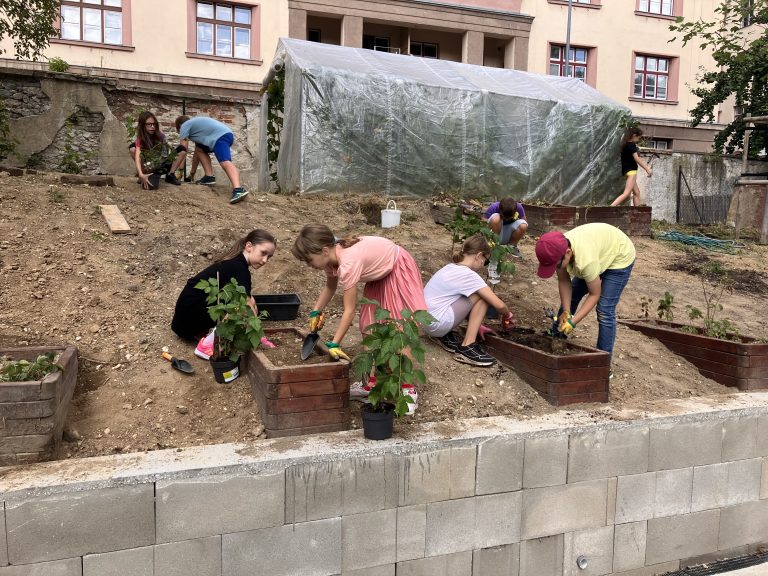 Ovocné kry na školskom dvore