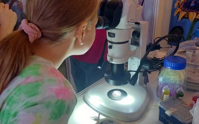 Zážitková hodina techniky na Európskej noci výskumníkov