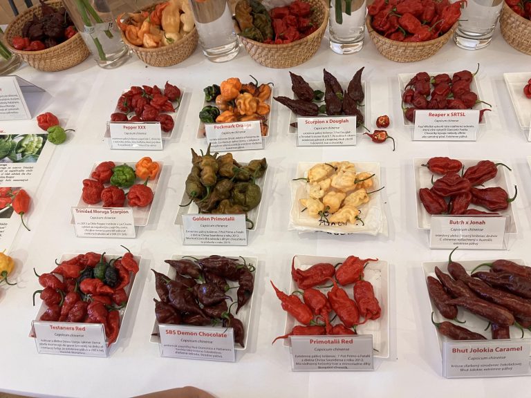 Výstava húb a čili papričiek v SNM