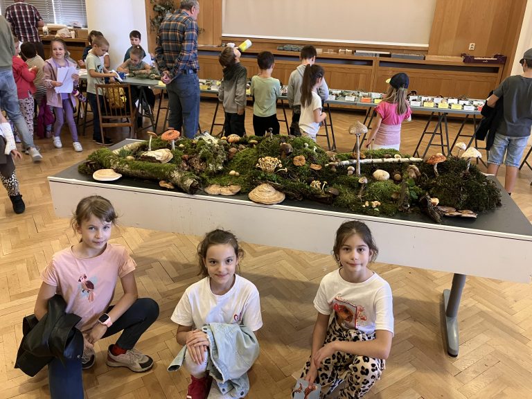 Výstava húb a čili papričiek v SNM