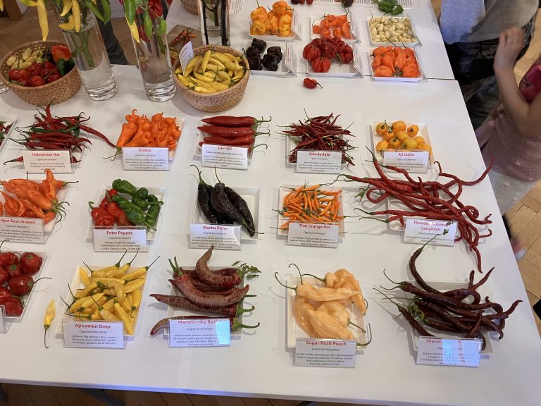 Výstava húb a čili papričiek v SNM