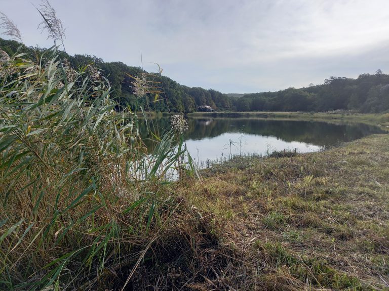 S turistickým krúžkom z Lozorna do Stupavy, Biofarma Príroda