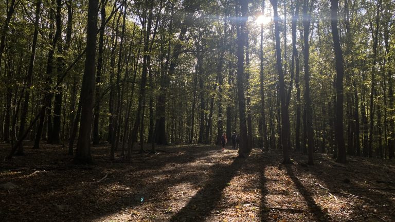 S turistickým krúžkom z Lozorna do Stupavy, Biofarma Príroda