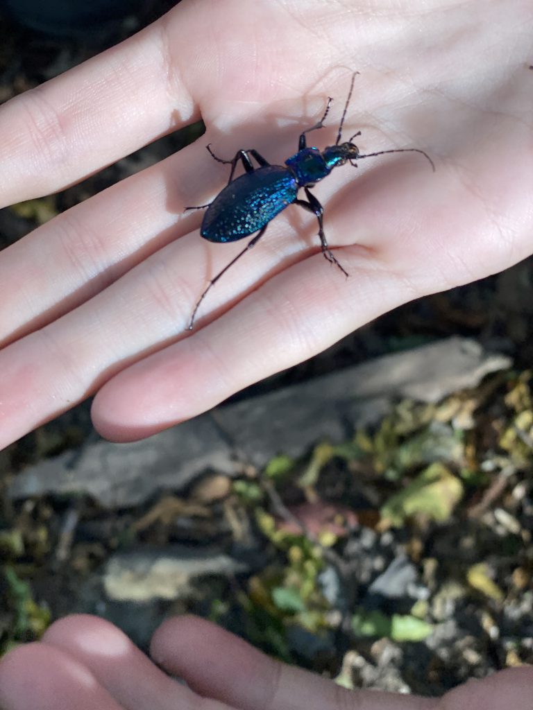 S turistickým krúžkom z Lozorna do Stupavy, Biofarma Príroda