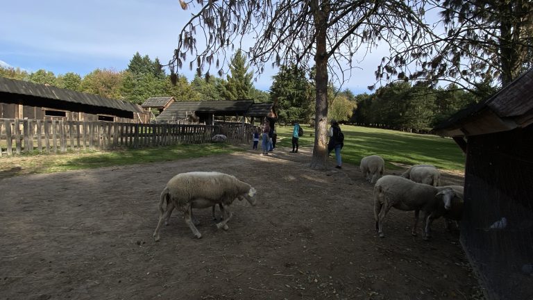 S turistickým krúžkom z Lozorna do Stupavy, Biofarma Príroda