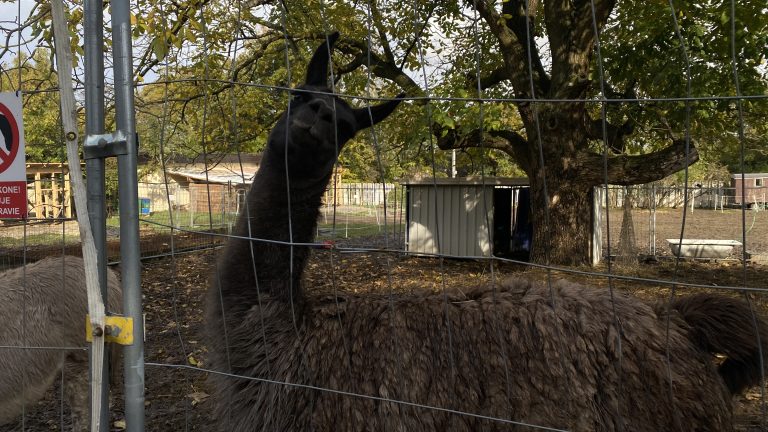 S turistickým krúžkom z Budmeríc do Dubovej, kaštieľ Budmerice