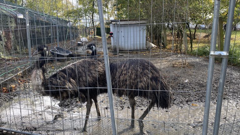 S turistickým krúžkom z Budmeríc do Dubovej, kaštieľ Budmerice