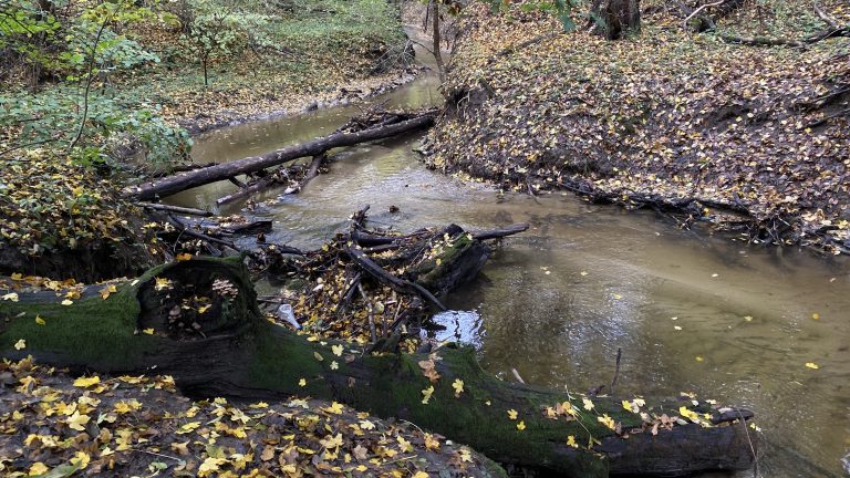 S turistickým krúžkom z Budmeríc do Dubovej, kaštieľ Budmerice
