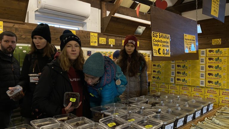 S turistickým krúžkom z Kittsee do Rusoviec, Jarovská bažantnica